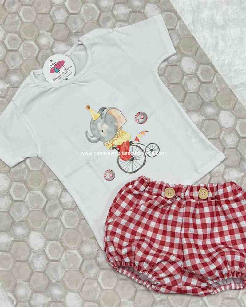Conjunto BBO Elefante Circo
