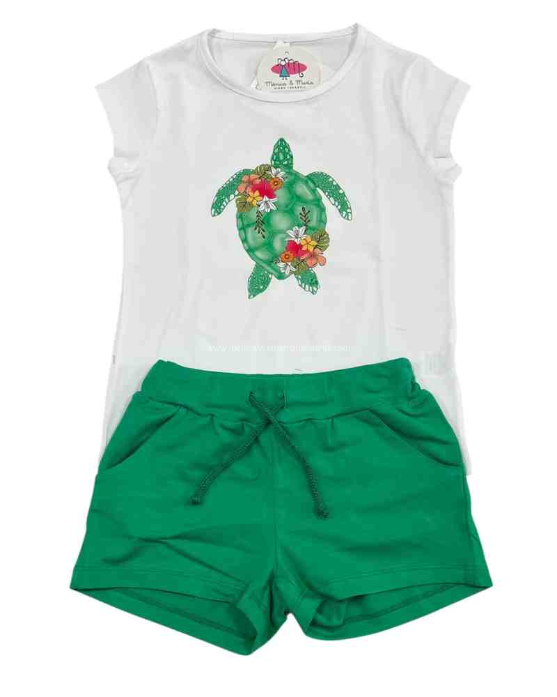 Conjunto Tortuga Verde
