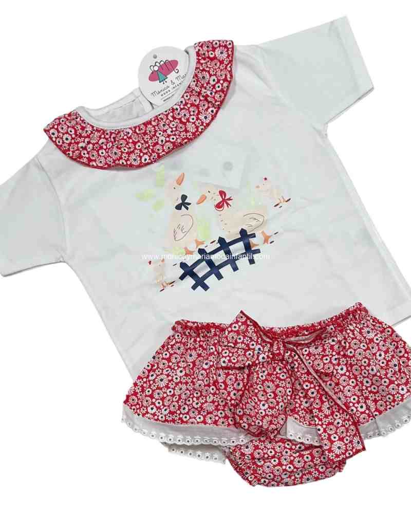 Conjunto 2 Patitos