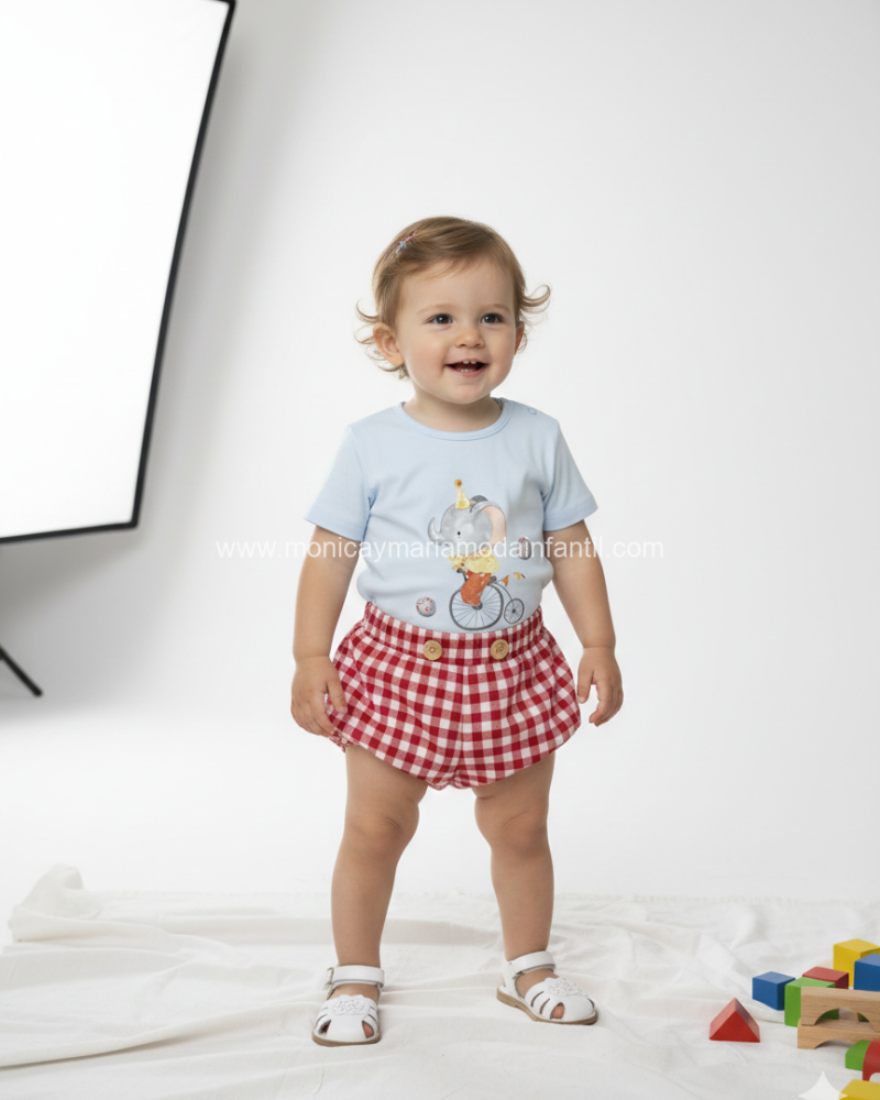 Conjunto BBO Elefante Circo