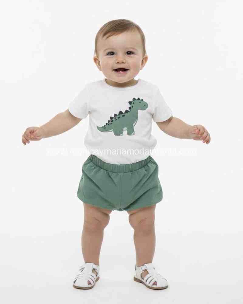 Conjunto Dinosaurio Verde