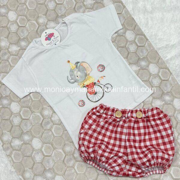 Conjunto BBO Elefante Circo