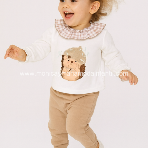 Conjunto Erizo Castaña BBA