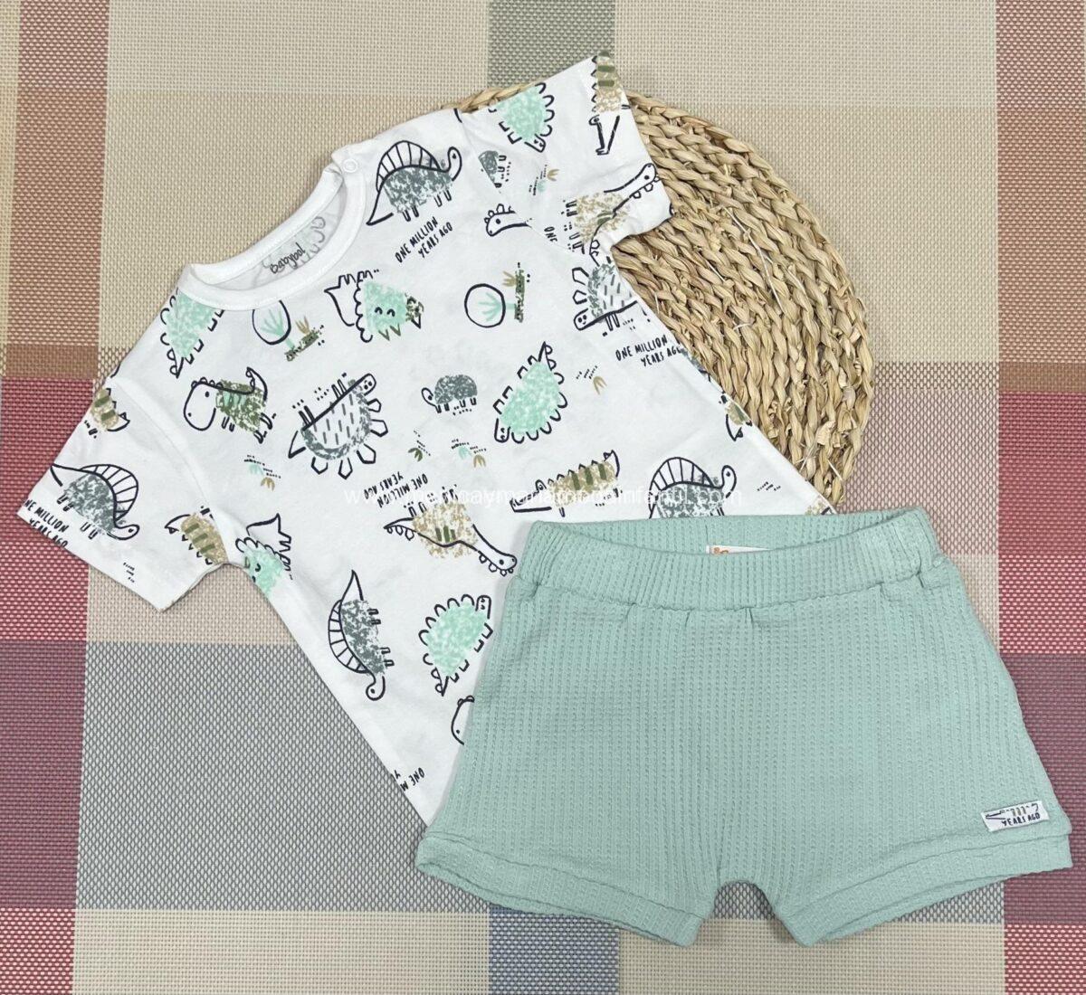 Conjunto Dinosaurio Verde