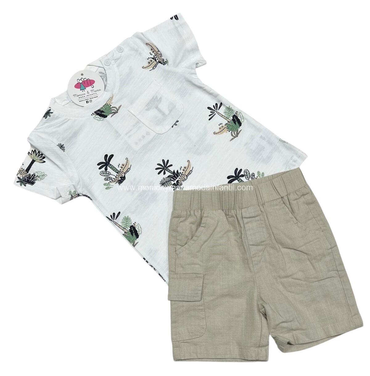 Conjunto Palmeras