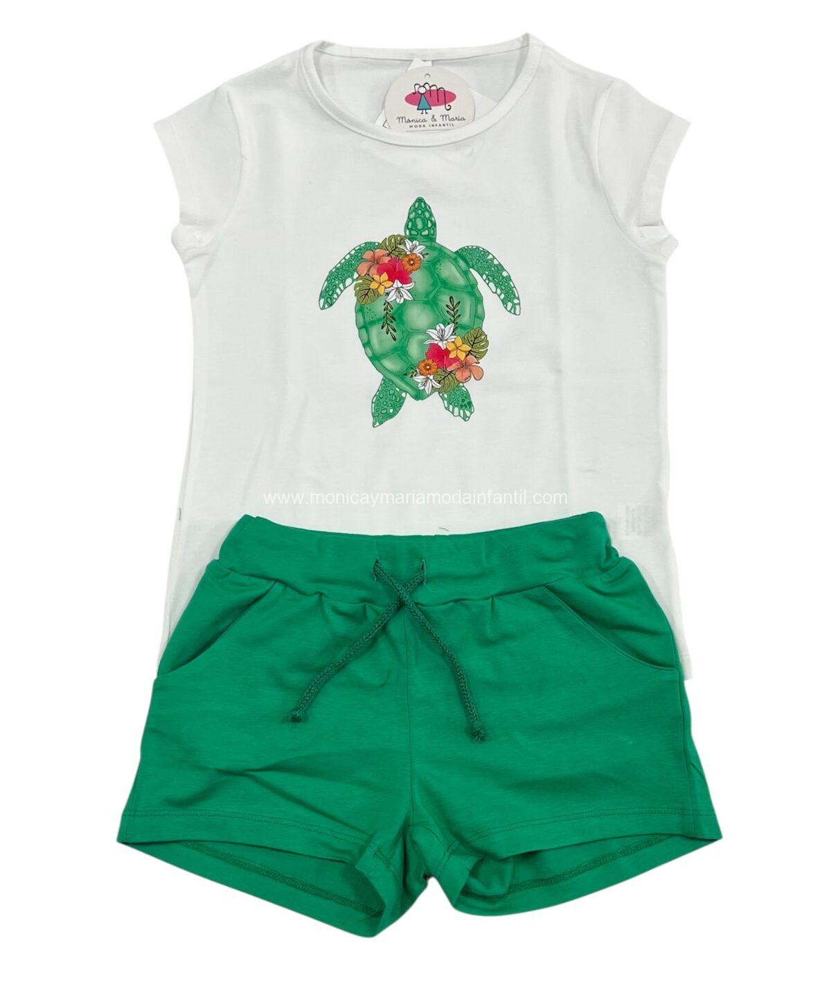 Conjunto Tortuga Verde