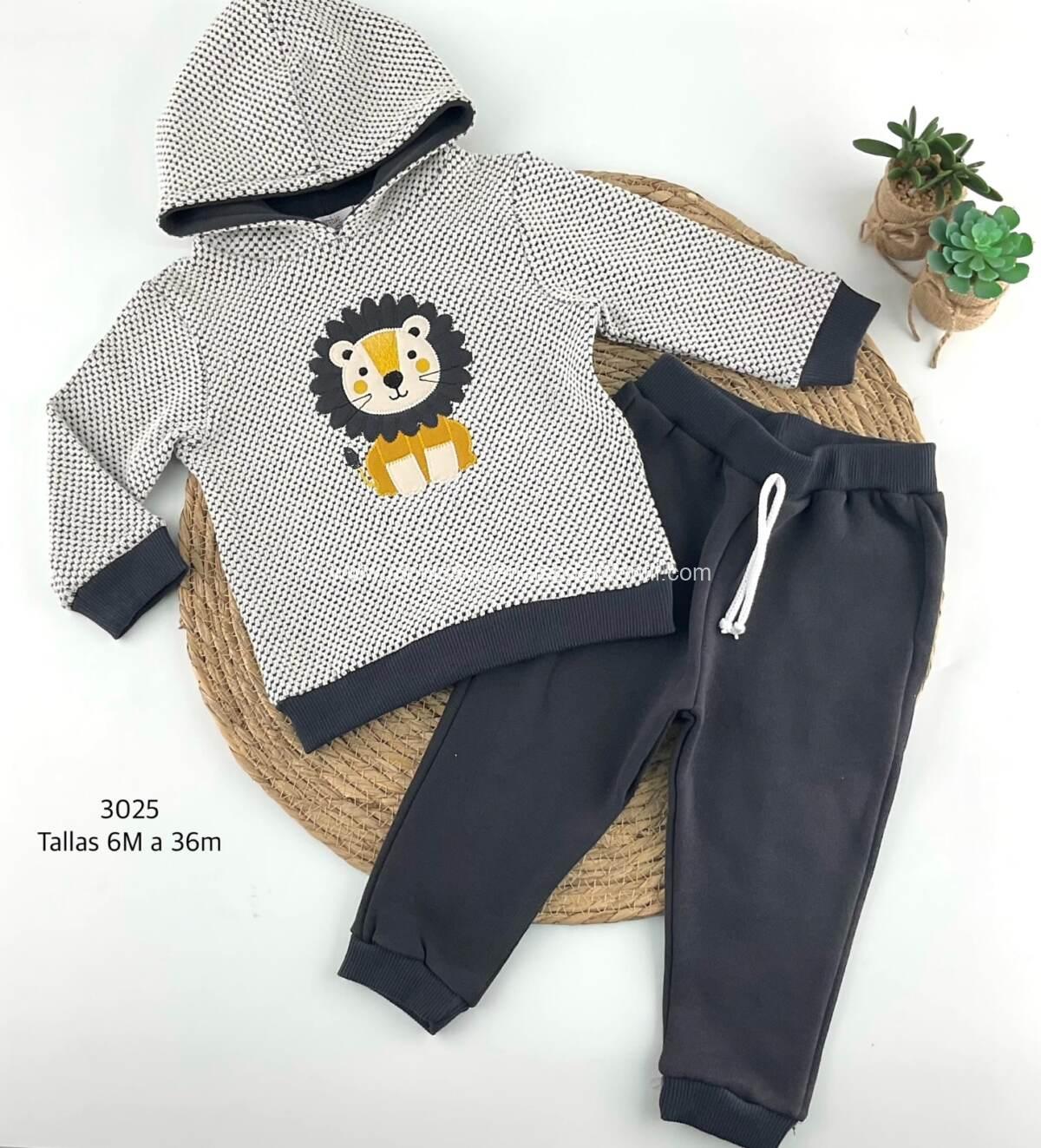 Conjunto Leon Gris - Imagen 2
