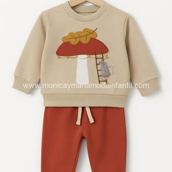 Conjunto Raton